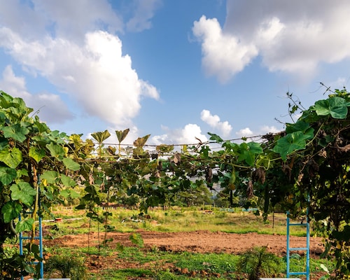 2 BHK SHREE FARMS - KARJAT